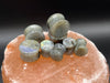 Labradorite Plugs – Double Flare Natural Stone Gauges