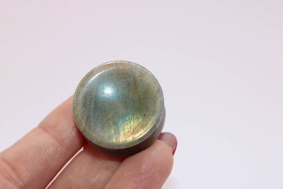 Labradorite Plugs – Double Flare Natural Stone Gauges