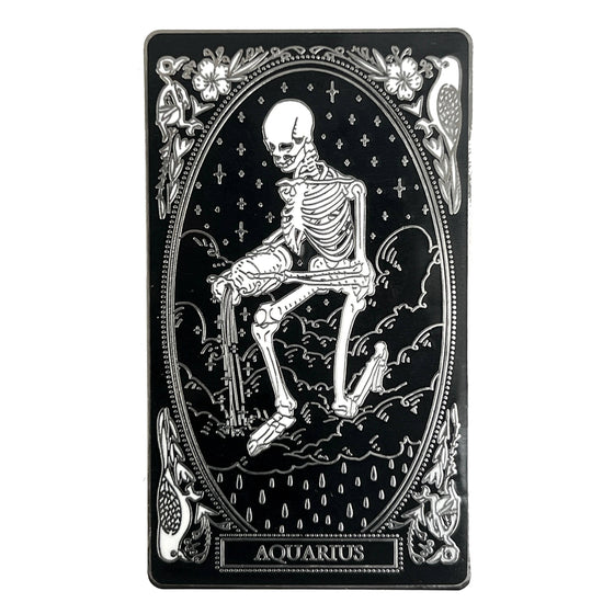 Hard-enamel Zodiac Pin - Aquarius