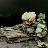 Aurichalcite Specimen