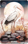 Autumn's Embrace Lenormand Deck