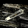 Clear Quartz Vogel