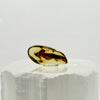 Golden Baltic Amber Freeform