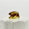 Golden Baltic Amber Freeform