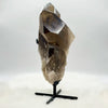 Brazilian Smoky Quartz Raw Cluster (in stand)
