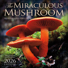  Miraculous Mushroom Wall Calendar 2026