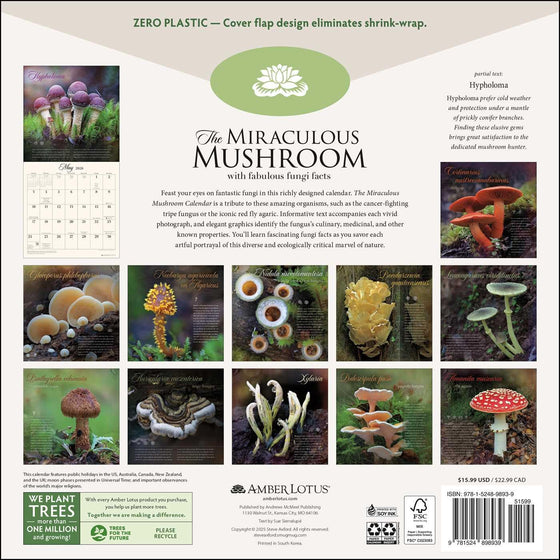 Miraculous Mushroom Wall Calendar 2026