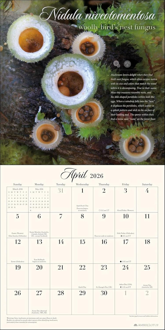 Miraculous Mushroom Wall Calendar 2026