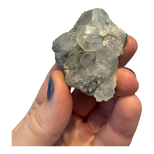  Apophyllite Cluster Specimen