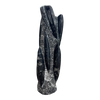 Orthoceras Fossil