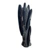 Orthoceras Fossil