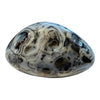 Dendritic Agate Freeform