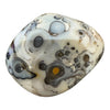 Dendritic Agate Freeform