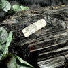 Natural Danburite Specimen
