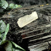 Natural Danburite Specimen