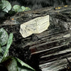Natural Danburite Specimen