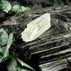 Natural Danburite Specimen