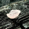 Natural Morganite Specimen