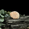 Natural Pink Natrolite Specimen