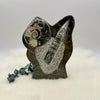 Orthoceras & Ammonite Sculptural "Stand-Up"