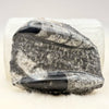 Orthoceras Fossil
