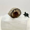 Petrified Wood Branch