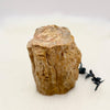 Petrified Wood Branch