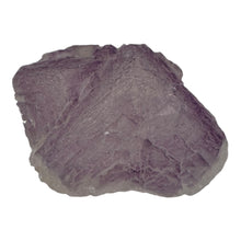  Filo Fluorite Specimen