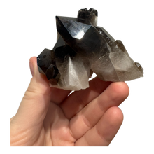  *High Quality* Brazilian Smoky Quartz Cluster