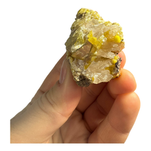  Wulfenite & Mimetite Specimen