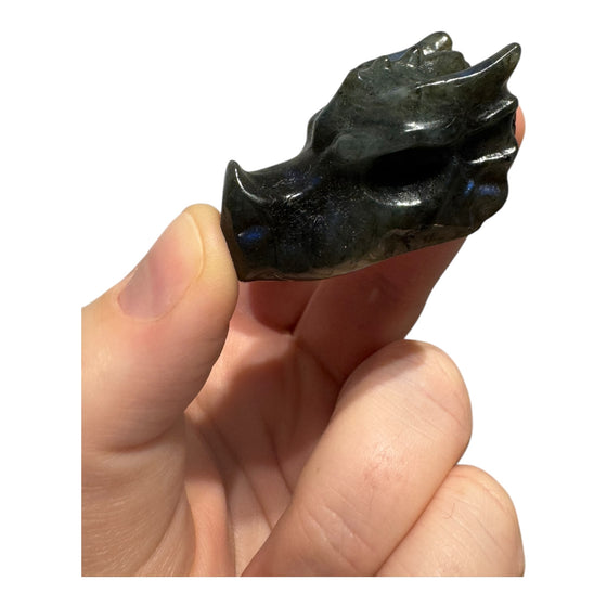 Dragon Head