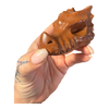 Dragon Head