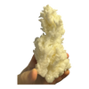 White Aragonite Specimen