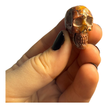  Cantera Opal Skull