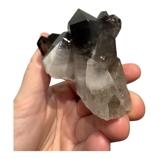 *High Quality* Brazilian Smoky Quartz Cluster