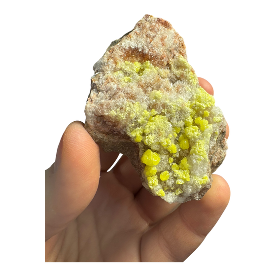 Sulphur (Sul Mapimi) Specimen