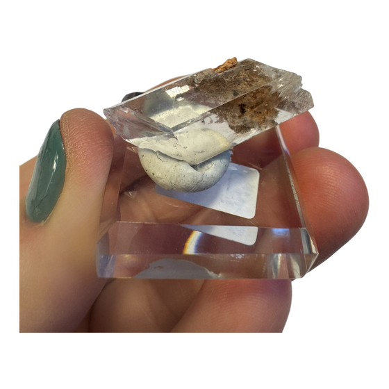 Selenite Specimen (Bermejillo, Durango Mexico)