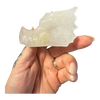 Dragon Head