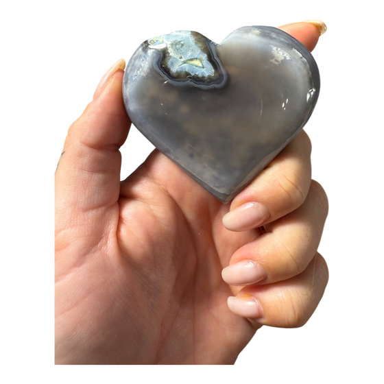 Black Flower Agate Heart