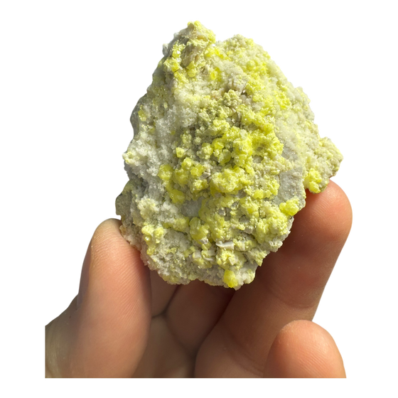 Sulphur (Sul Mapimi) Specimen