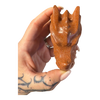 Dragon Head