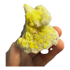 Sulphur (Sul Mapimi) Specimen