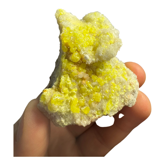 Sulphur (Sul Mapimi) Specimen