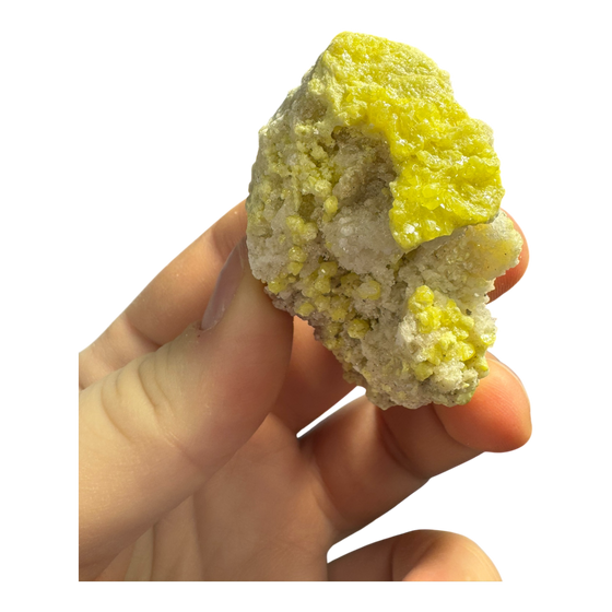 Sulphur (Sul Mapimi) Specimen