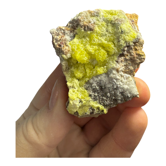 Sulphur (Sul Mapimi) Specimen