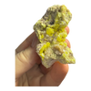 Sulphur (Sul Mapimi) Specimen