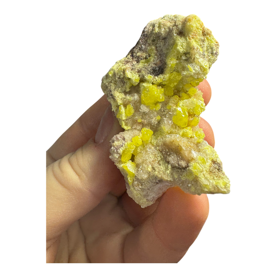 Sulphur (Sul Mapimi) Specimen