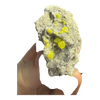 Sulphur (Sul Mapimi) Specimen