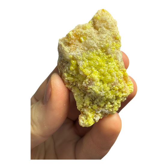 Sulphur (Sul Mapimi) Specimen