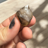 Smoky Citrine Raw